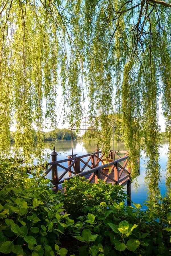 Villa Barbaro Gianese 锡莱阿 外观 照片